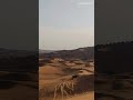 This is Dubai for you- Part03 . #youtubeshorts #dubai #desert #safari #song #arabic #hindi #gulimata