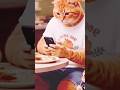 #animalsCat see mobile Shopping Time with Baby 🛍️📱🐾#CatShopping #CuteCats #FunnyCatVideo#CatWithBaby