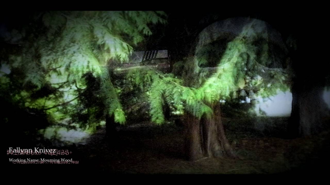 Working Name: Mourning Wood