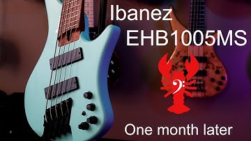 LowEndLobster Fresh Look: Ibanez EHB1005MS One Month Later