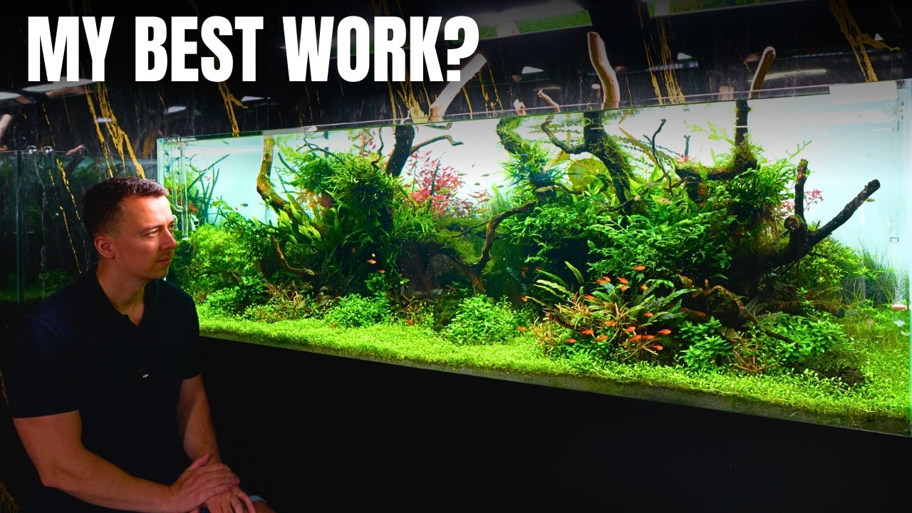 Aquascaping for Videography Tanks: Stunning Designs to Captivate Viewers