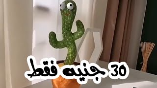 حصريا سعر الصبارة الراقصة 30 جنية