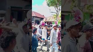 Tradisi Sunatan Atau Turun Tanah Anak Gadis Pulau Wangiwangi traditional tradition viral fyp 