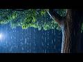 Deep Sleep Instantly with Rainy Lake | Gentle Rain Sounds for Stress Relief &amp; Meditation