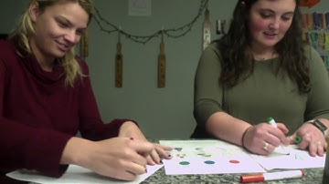 461 Final - Language Rich Environment