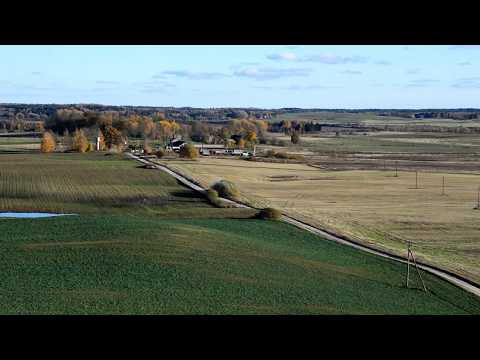 Video: Vislabākā Suka, Ar Kuru Uzklāt Marķieri