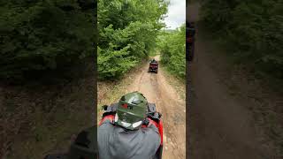 Forest floor hits different on an ATV. #offroadadventure #offroad4x4 #offroadmotorcycle #atvoffroad