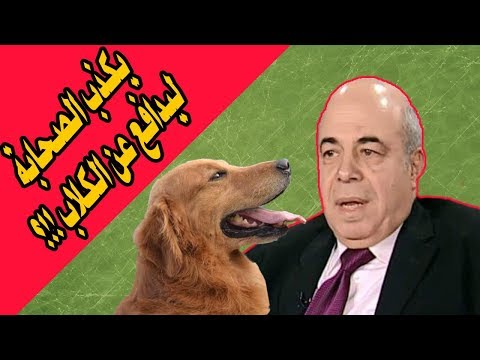 الكاتب أبو كلبة يكذب الصحابة ويتهمهم ليدافع عن الكلاب والرد المفحم