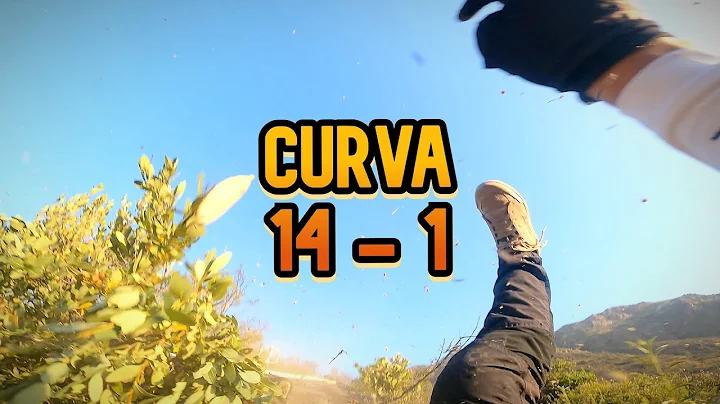 NO FUERON MUY BUENAS BAJADAS QUE DIGAMOS...