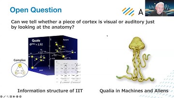 Qualia and Symmetry in Neural Networks