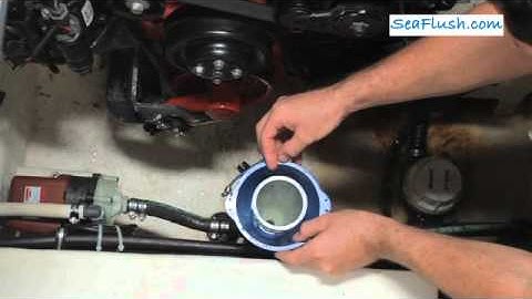 Use Sea Flush to Unclog thru-hull fittings. See other uses at www.seaflush.com