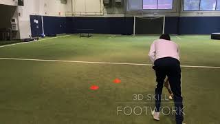 3D skills & footwork screenshot 4