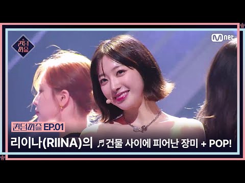 [EN/JP] [퀸덤퍼즐/1회] "퀸덤아 나를 기억해라!" 리이나(RIINA)의 ♬건물 사이에 피어난 장미 + POP! | Mnet 230613 방송