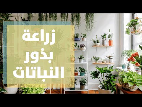 فيديو: نباتات الحدائق البريدية - نصائح حول إرسال النباتات عبر البريد