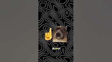 🐍 Día 296 de 365 Hoy creamos un simulador de lluvia usando Matplotlib #python #programacion