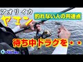アオリイカが釣れない人の共通点は抱き待ち時の「あの癖」です。あなたは大丈夫ですか？【ヤエン】
