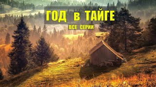 ГОД В ГЛУХОЙ ТАЙГЕ ВСЕ СЕРИИ СЕРИАЛ КРУШЕНИЕ САМОЛЕТА ОТШЕЛЬНИК ЛЕТЧИК ВЫЖИВАНИЕ ВЫЖИТЬ В ЛЕСУ