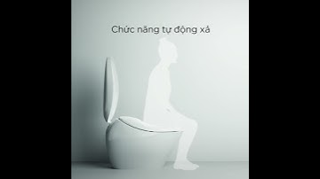 Chức năng tiện ích đến từ bàn cầu thông minh Neorest