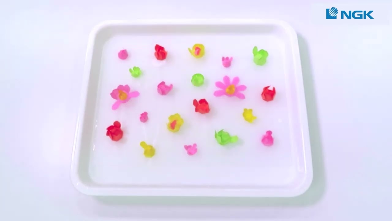 水の上に咲く紙の秘密 NGKサイエンスサイト - YouTube