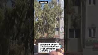Somalias Somaliland Launches Mass Deportation Of Illegal Ethiopian Migrants