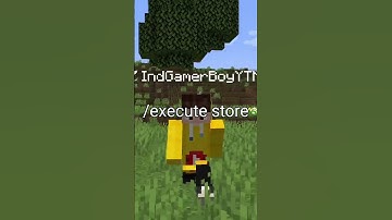 Most Useless Command In Minecraft #minecraft #minecraftfacts #gaming