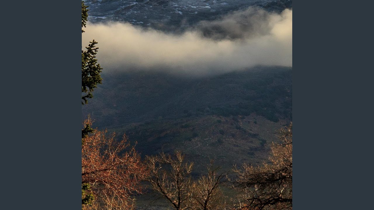 The Sailor and the Siren’s Curse