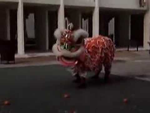 Zhoujia lion dance - Koon San Pt 4
