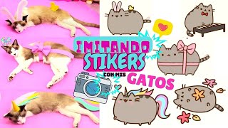 Imitando FOTOS de PUSHEEN con mis primeros GATOS!9 | Compilacion #2