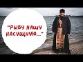 Рыбу нашу насущную