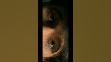 This Guy created my Photorealistic CG Face! Making a superhero film in 365 Days! #challenge