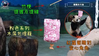 20230205 元宵放天燈在北動，圓寶也有驚喜愛心兔兔天燈 The Giant Panda Yuan Bao