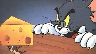 TOM AND JERRY Jerry Steal Cheese - New English Full Game 2014 - Tom and Jerry screenshot 4