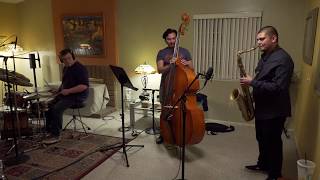 Nick Gomez Trio - Alligator Boogaloo