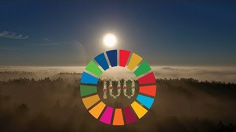 SUSTAINABLE DEVELOPMENT IN LITHUANIA (Darnus vystymasis Lietuvoje)