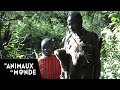 Une journée en brousse - Kenya - Maasaï Mara