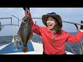 🎣🌸🐟🌊💫【ふるさとの海へ】三山ひろし、土佐高知で挑む“早春マダイ”の釣道──海と歌が結ぶ絆