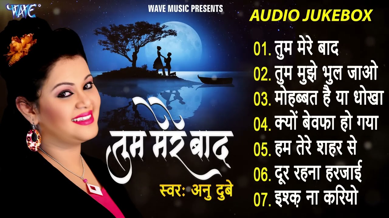 तुम मेरे बाद मोहब्बत को तरस जाओगे   Anu Dubey   Tum Mere Bad Full Songs   Jukebox   Hindi Sad Song