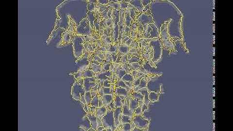 3D Reconstruction of Zebrafish brain vasculature