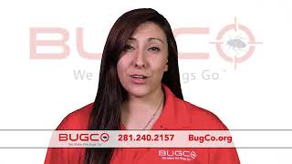 We Dont Want To Do It All We Just Want To Handle Your Pest Control