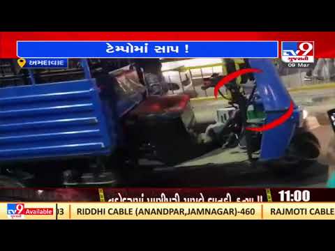 Watch : Snake spotted in fruit tempo in Bopal |Ahmedabad |Gujarat |TV9GujaratiNews