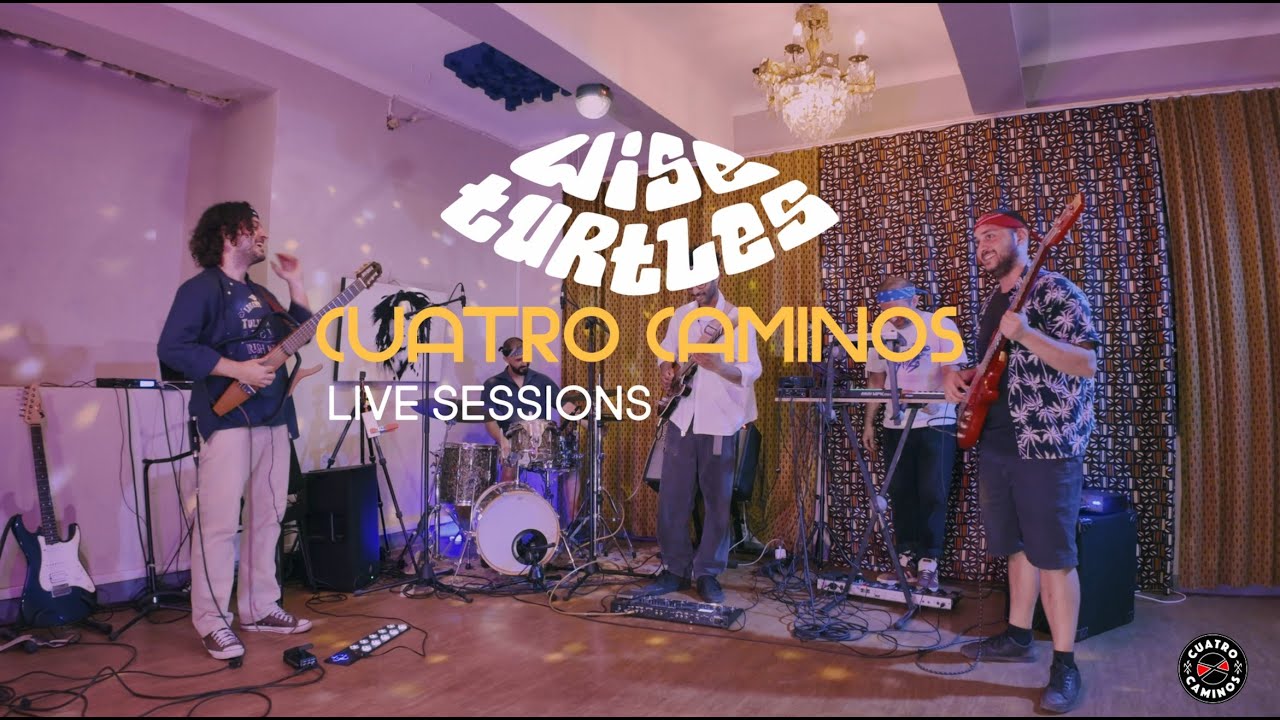 The Wise Turtles at Cuatro Caminos live sessions
