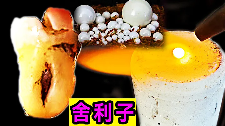 舍利子是如何制作的？老大南看了看自己的智齿陷入了沉思 How to make relics - 天天要闻