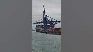 #ocean freight #sea #FCL #LCL