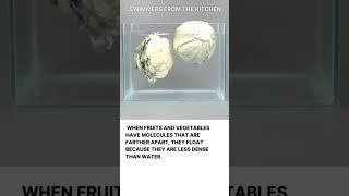 #shorts #STEM