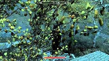 The Elder Scrolls V: Skyrim - Part 11