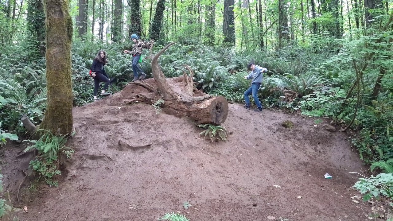 2020 Camping Battle Ground Lake The Moose Log