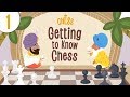 Chess for Kids - Getting to Know the Game