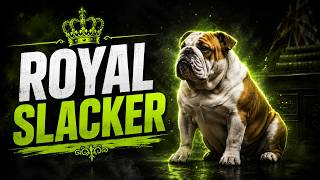 English Bulldog | The Icon of Power and Affection