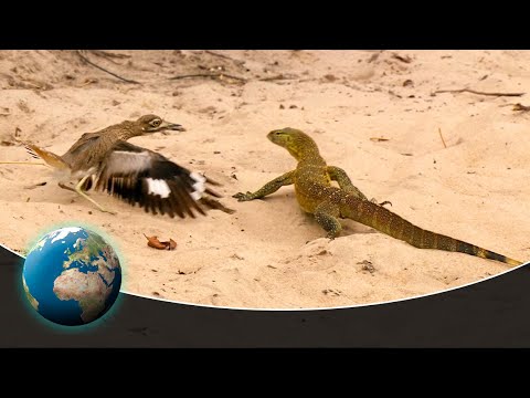 Deadly Game - Seconds from disaster
