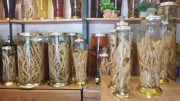 THƯỞNG THỨC RƯỢU SÂM DÂY NGỌC LINH VÀ CẢM NHẬN...